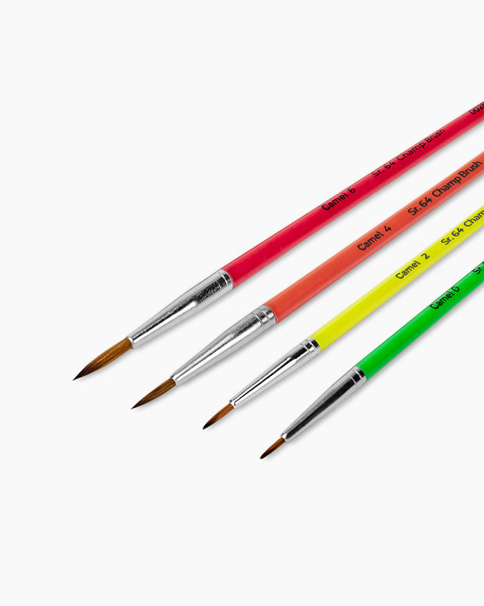 Camel Champ Brushes — Set of 4, Round (Series 64)