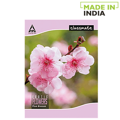Classmate English Four Line Notebook 24 x 18 cm 172 Pages
