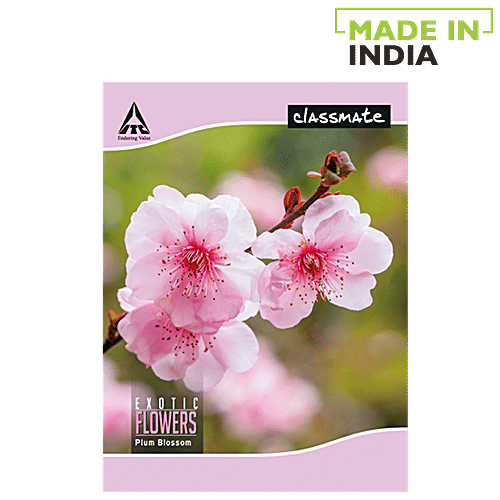 Classmate English Four Line Notebook 24 x 18 cm 172 Pages